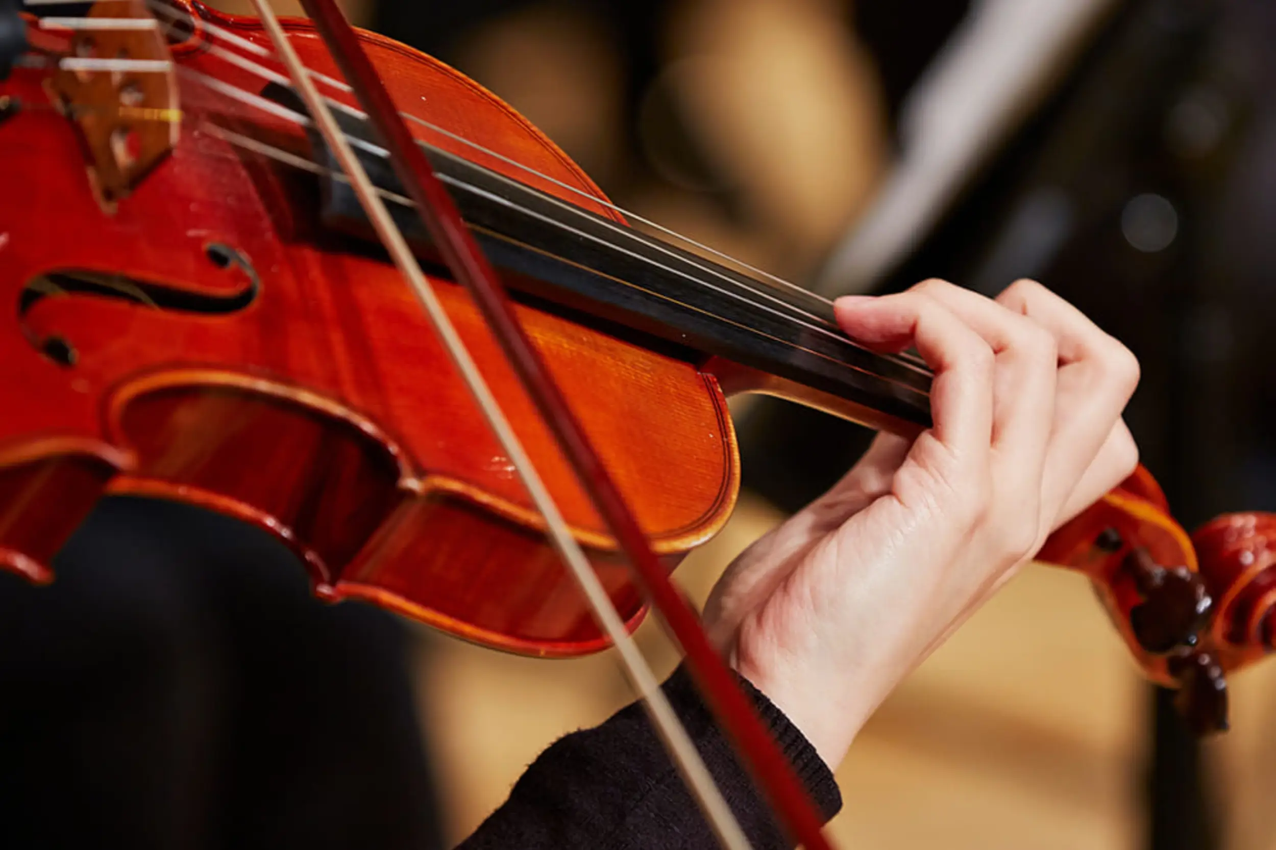 https://harmonyinternationalmusic.com/wp-content/uploads/2026/07/violin.webp