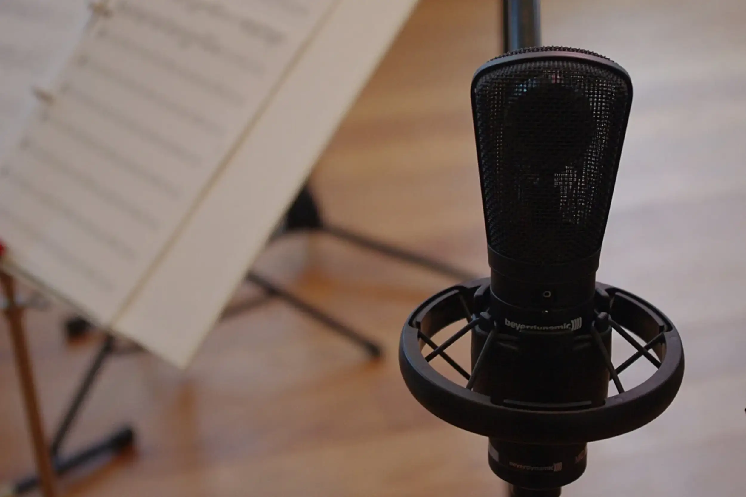 https://harmonyinternationalmusic.com/wp-content/uploads/2026/07/vocal.webp